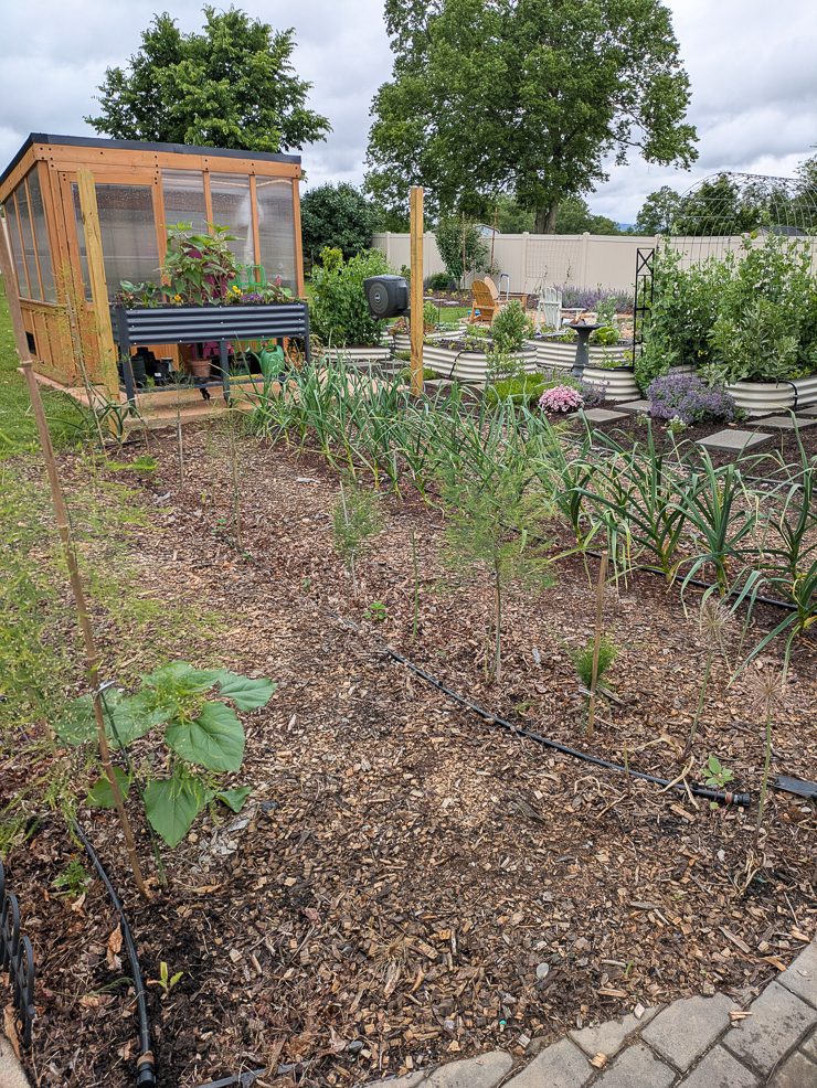 small greenhouse in a garden