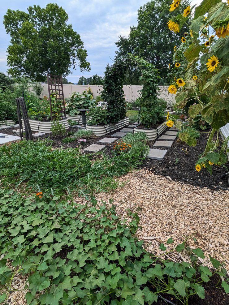 beautiful backyard garden