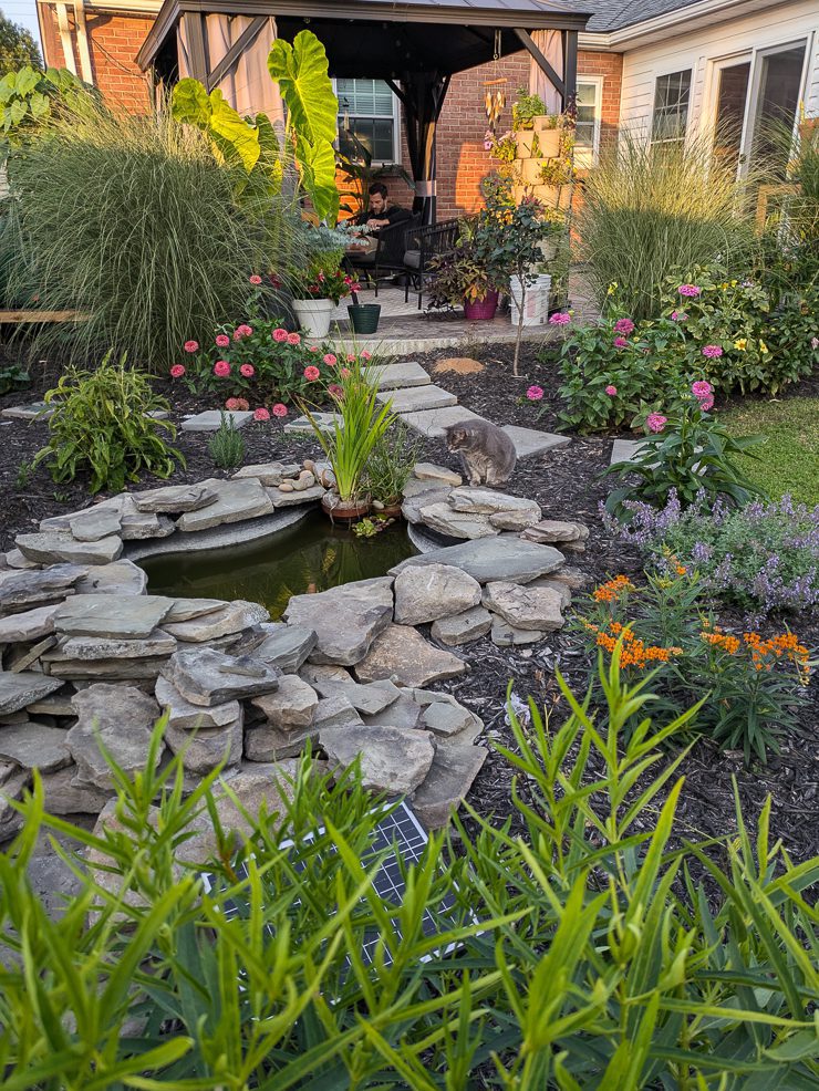 beautiful small backyard pond