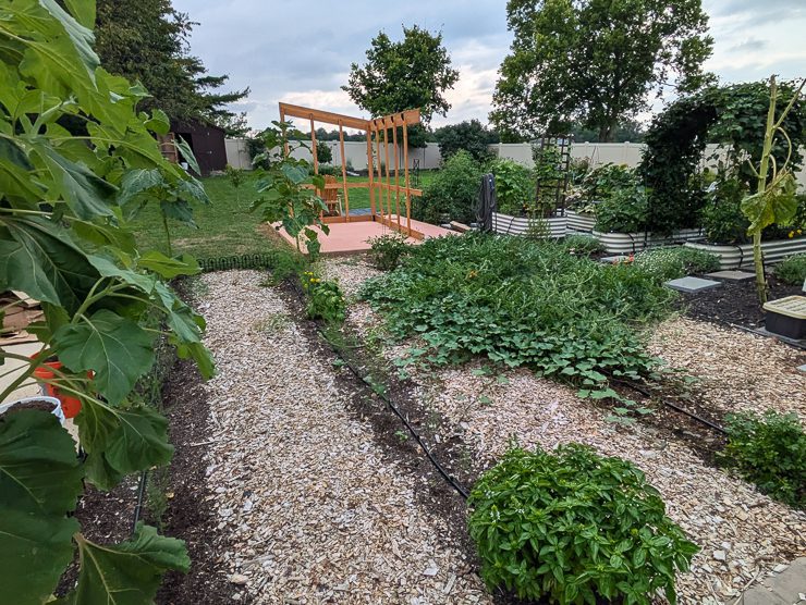 garden