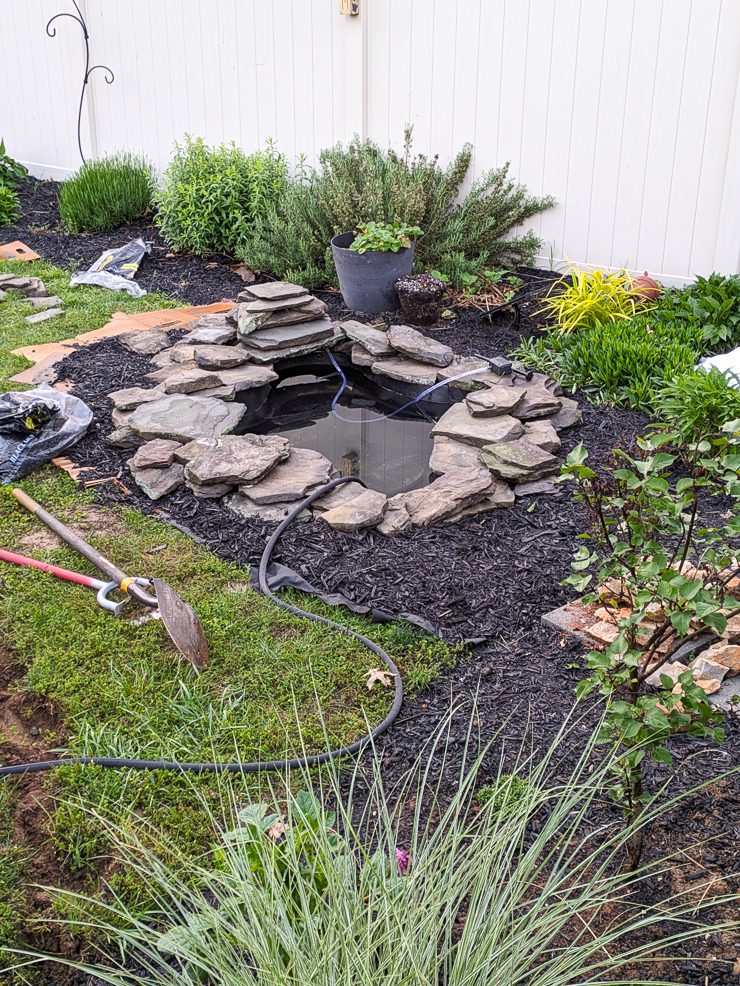 backyard pond