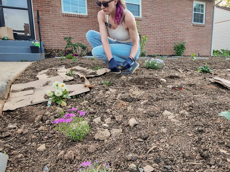 sheet mulching