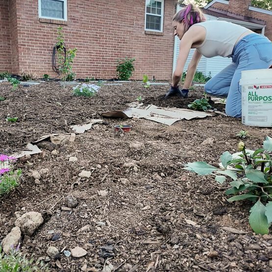 sheet mulching