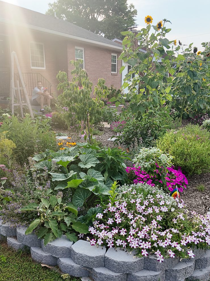 beautiful lawn conversion project