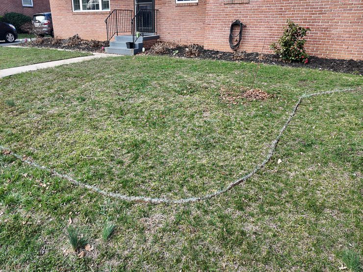 edging out a garden bed