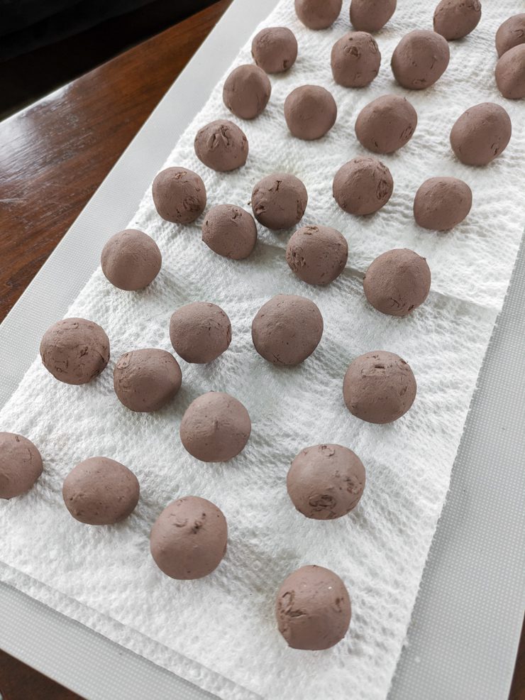 drying seed bombs