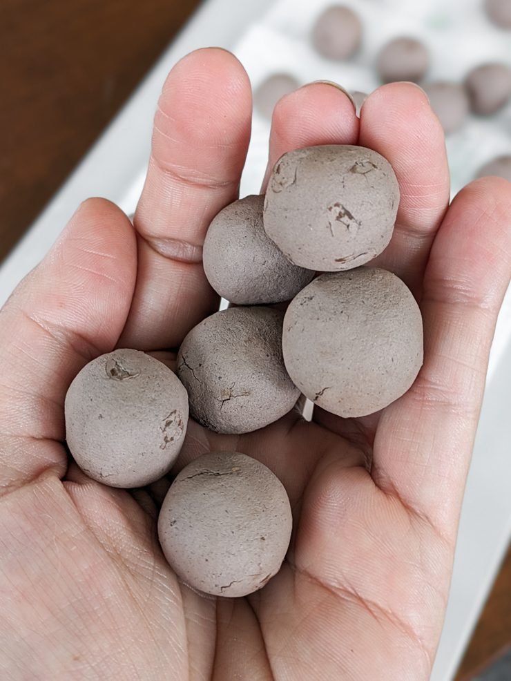 dried seed bombs