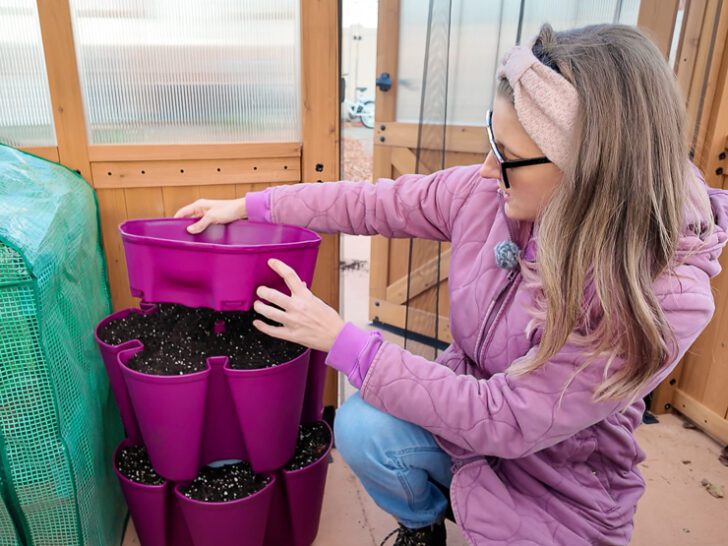 woman filling a greenstalk vertical garden with soil