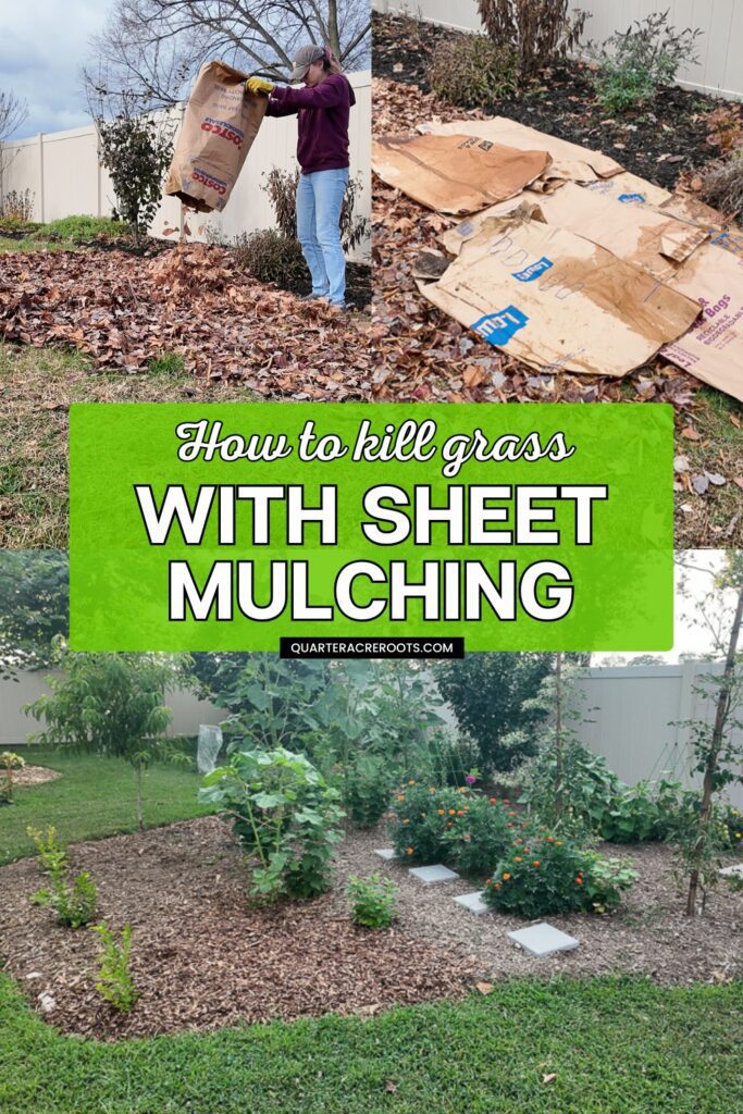 collage that says how to kill grass with sheet mulching including photos of the process