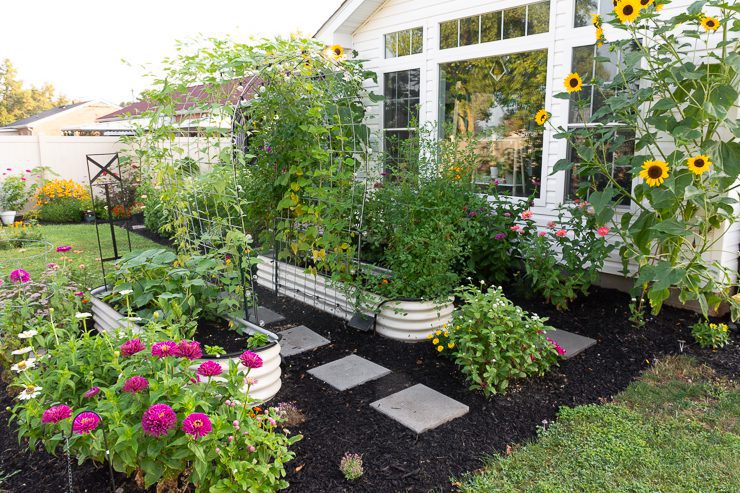 vegetable garden