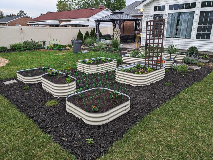 vegetable garden