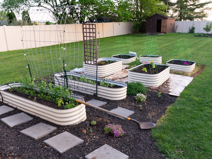 vego raised beds in a garden