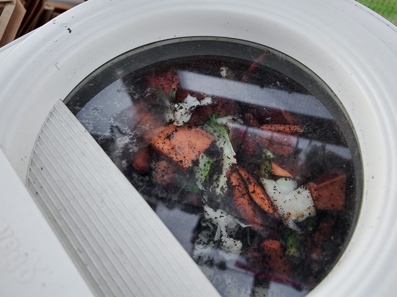 food scraps in the vego kitchen composter