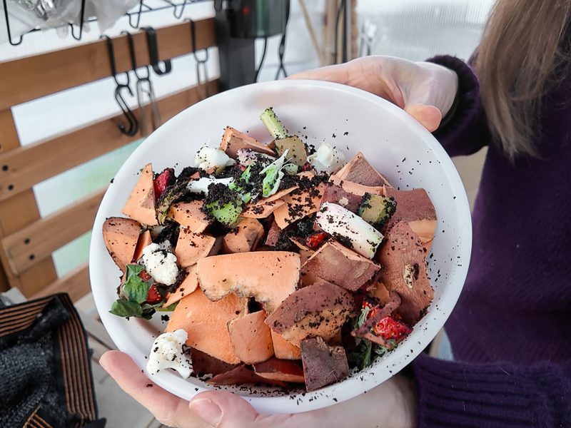a bowl of kitchen scraps ready for composting