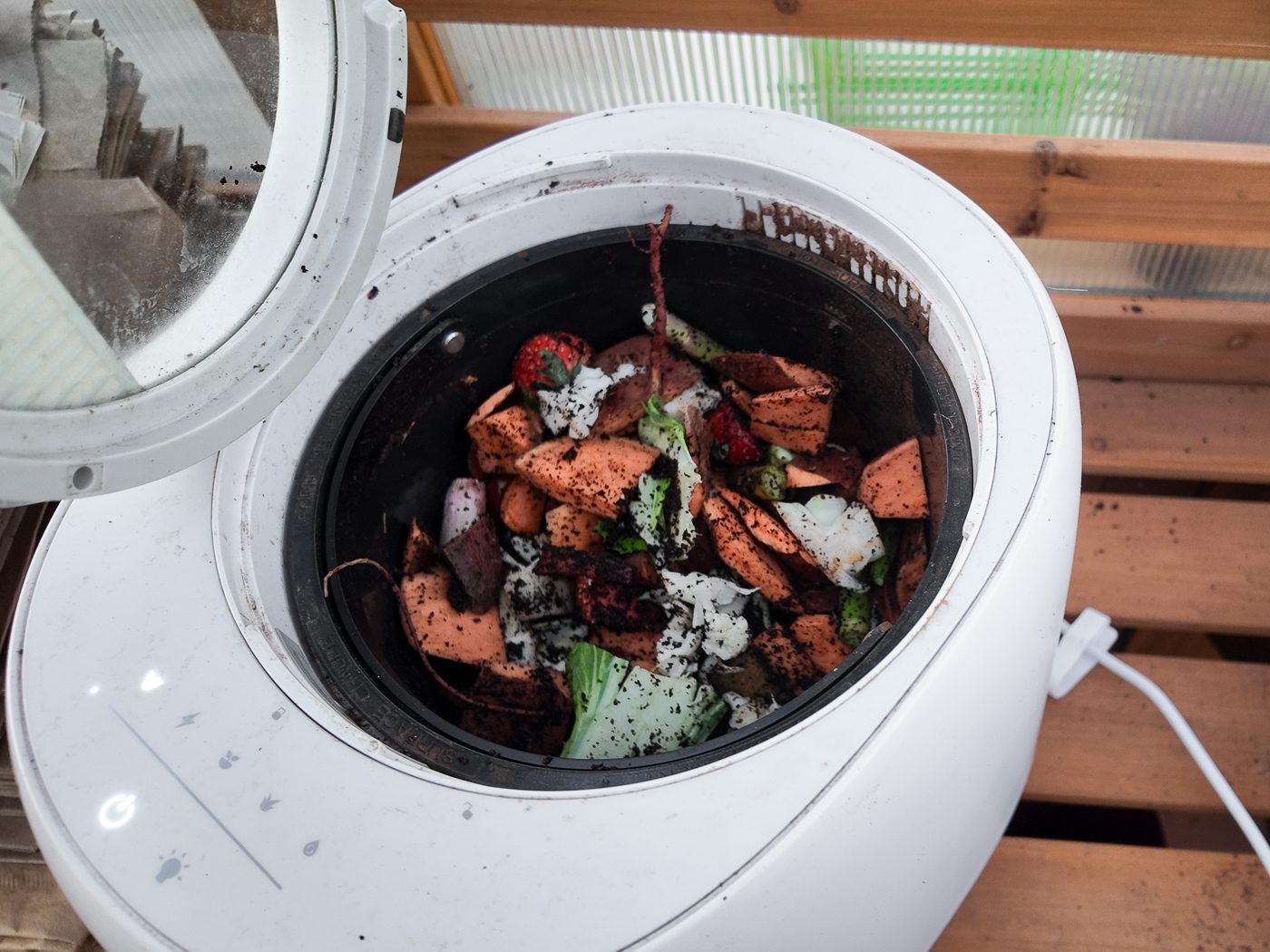 food scraps in the vego kitchen composter
