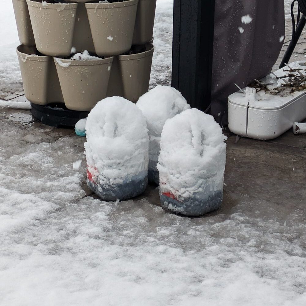 winter seed sowing jugs covered in snow