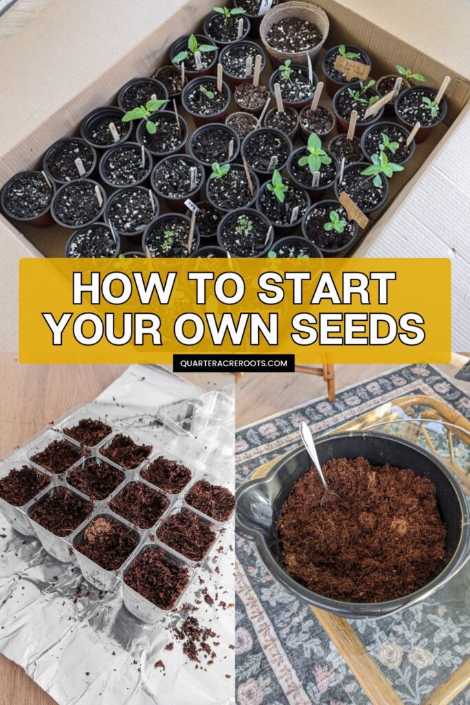 collage that says how to start your own seeds with pictures of the process