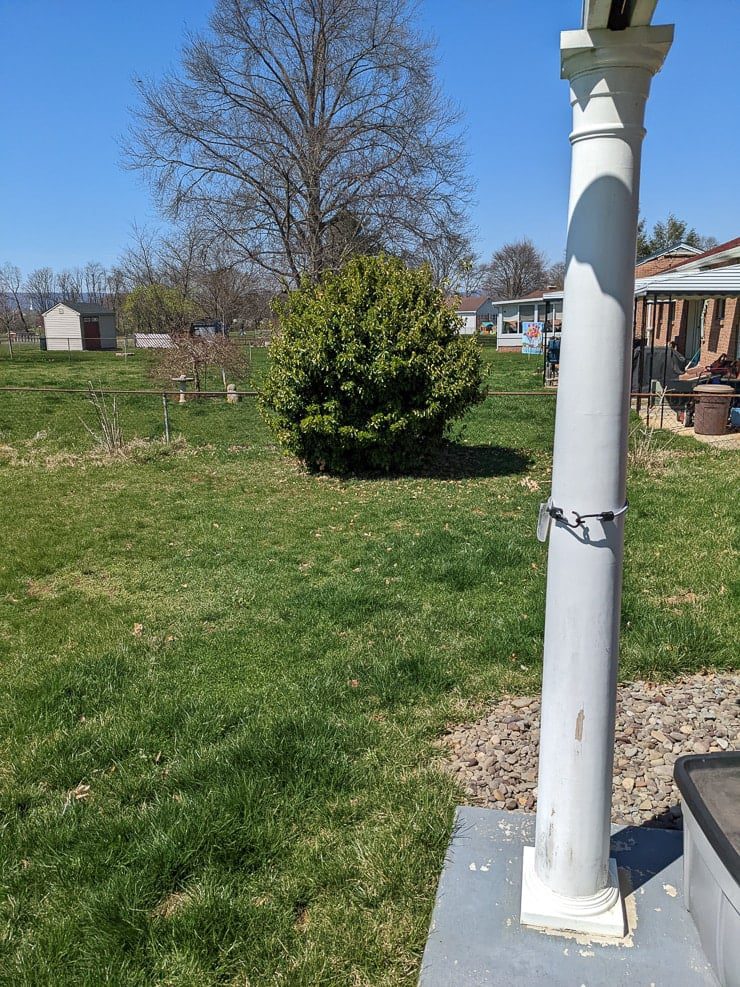 grassy yard
