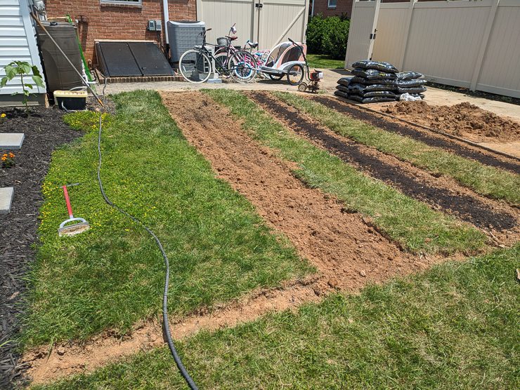 Putting the new beds in