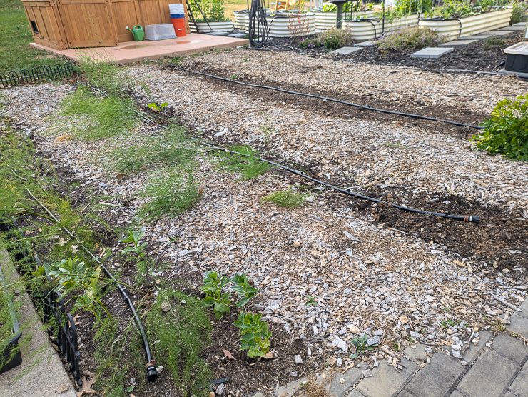 in ground garden