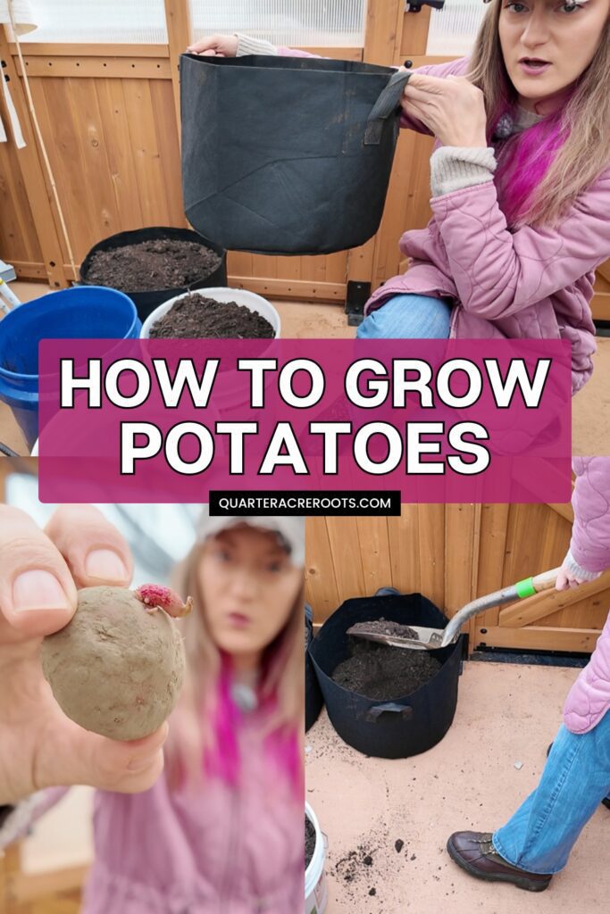 collage that says how to grow potatoes