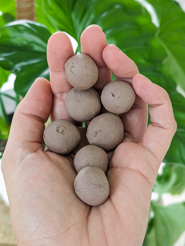 dried seed balls