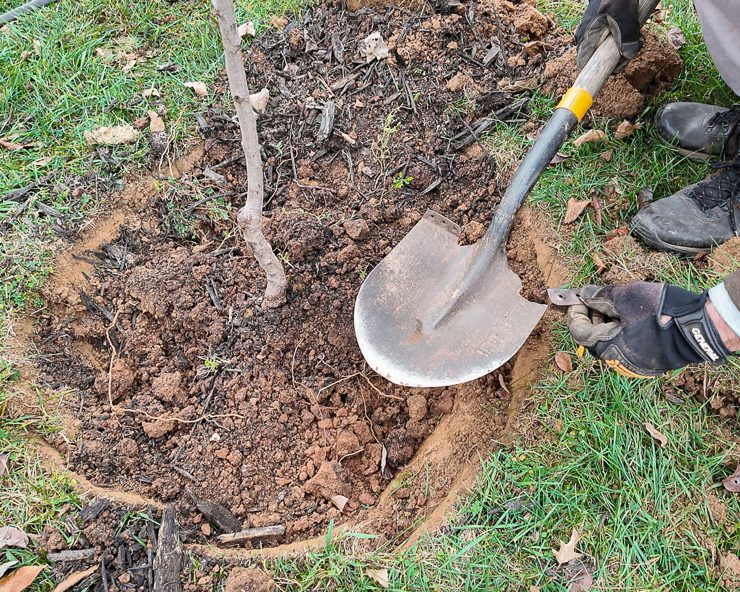 broken shovel