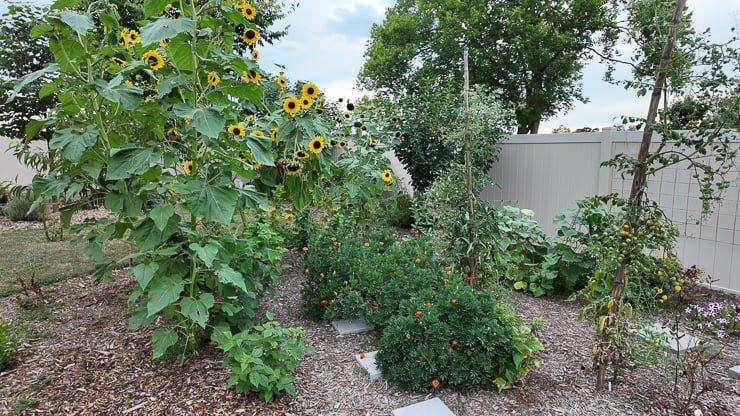 beautiful garden