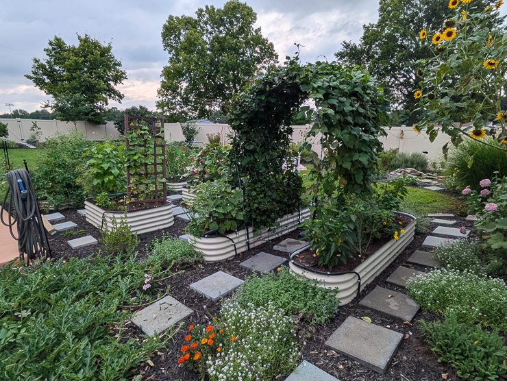 beautiful vegetable garden