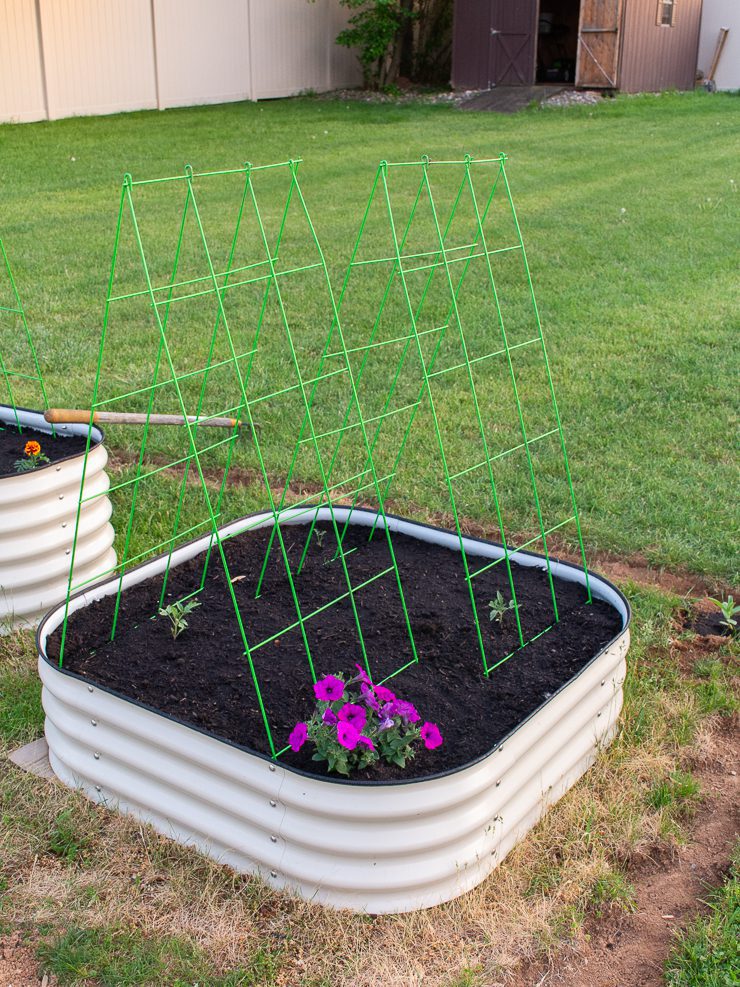 a-frame trellises in a raised bed