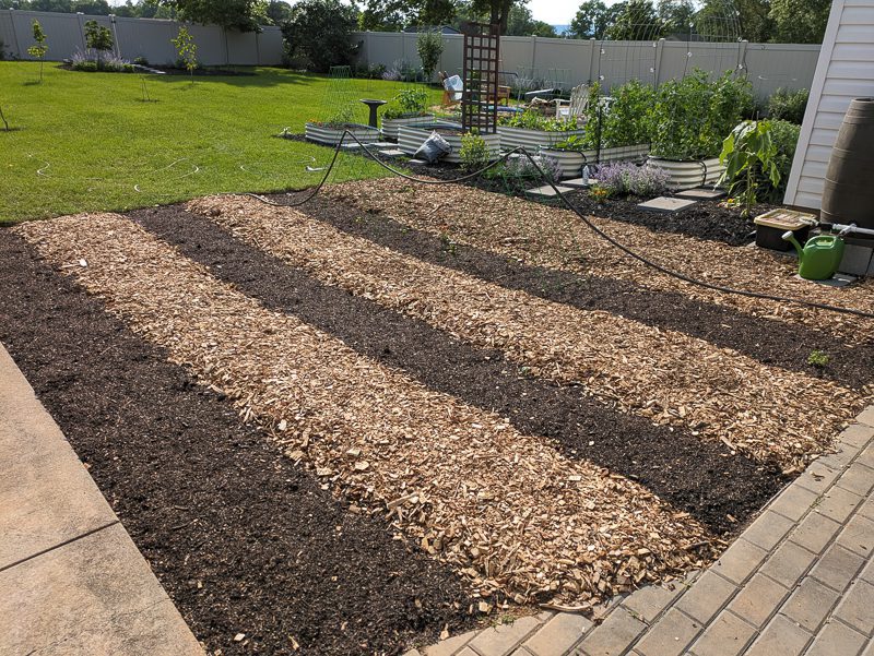 converting grass to a garden
