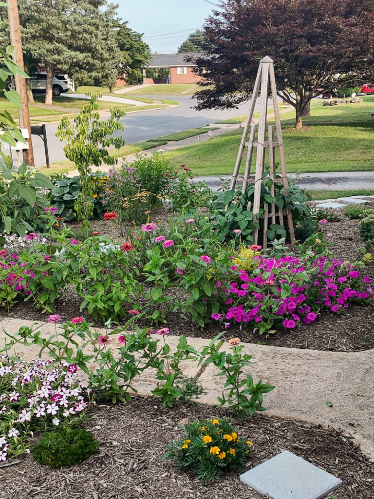 flowers and plants growing in a front yard