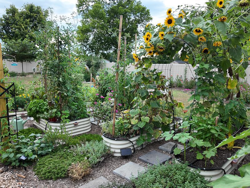 beautiful garden