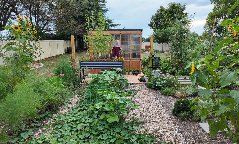 large garden with plants growing